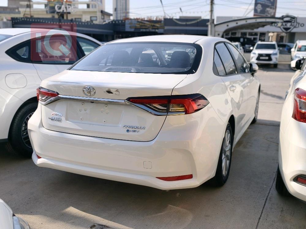 تويوتا كورولا